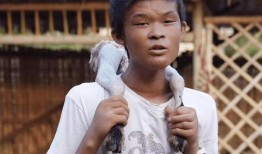 黄哥最新爆料新闻,最新爆料新闻背后的惊人真相