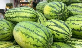 最新吃瓜入口免费,免费入口，精彩不容错过！